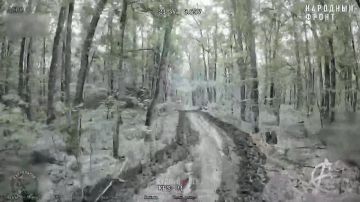 � ������ ������� ����������� �������, � ������ �.�. �������� �������� FPV-����� ������� �������� �� ������ �������� �����