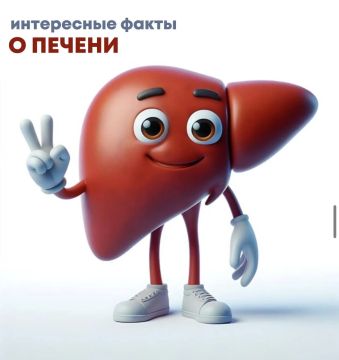 ������: ���� ���������� ����������
