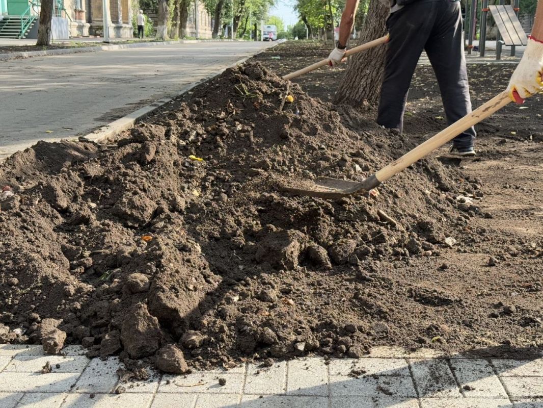 На Аллее «Мира и Единства» в г. Молодогвардейске ведется подготовка к благоустройству зеленых территорий На Аллее «Мира и Единства» в г. Молодогвардейске ведется подготовка к благоустройству зеленых территорий