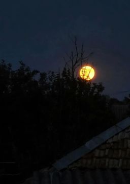29 июля наступило полнолуние, известное как Оленья Луна