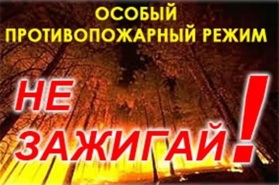 «Кадры решают всё»: в Краснодоне обсудили целевое обучение как инструмент работодателя «Кадры решают всё»: в Краснодоне обсудили целевое обучение как инструмент работодателя