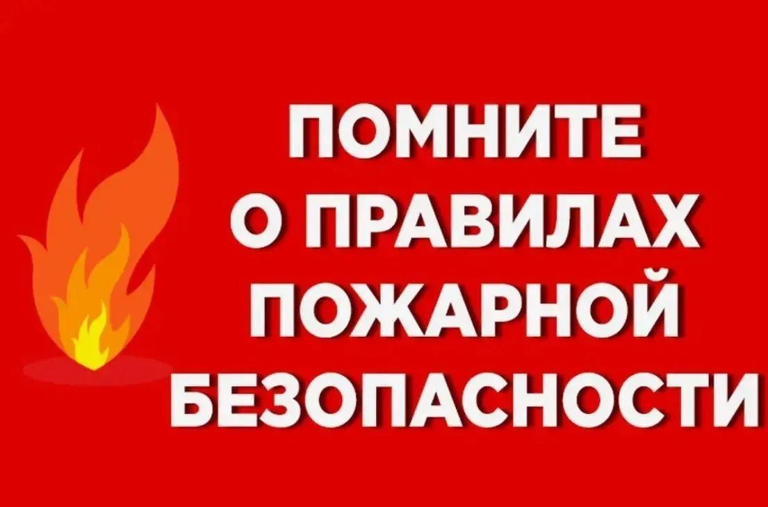 Как Соцфонд по ЛНР выплачивает пенсии детям Как Соцфонд по ЛНР выплачивает пенсии детям