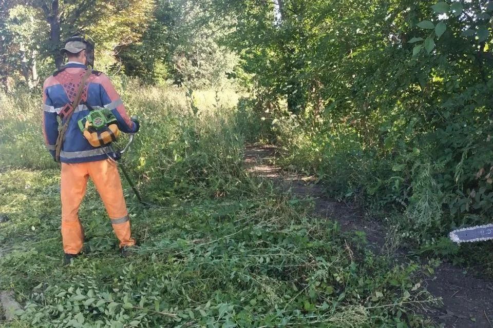 Коммунальщики Свердловского округа начали вырубку поросли и покос травы на опасных участках дорог Коммунальщики Свердловского округа начали вырубку поросли и покос травы на опасных участках дорог