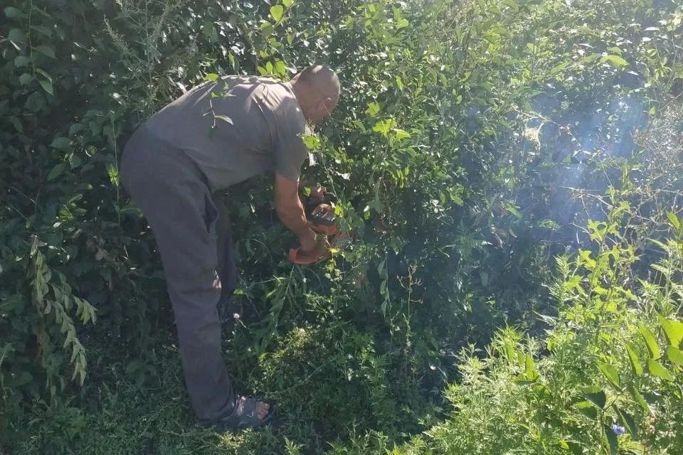 Коммунальщики Свердловского округа начали вырубку поросли и покос травы на опасных участках дорог
