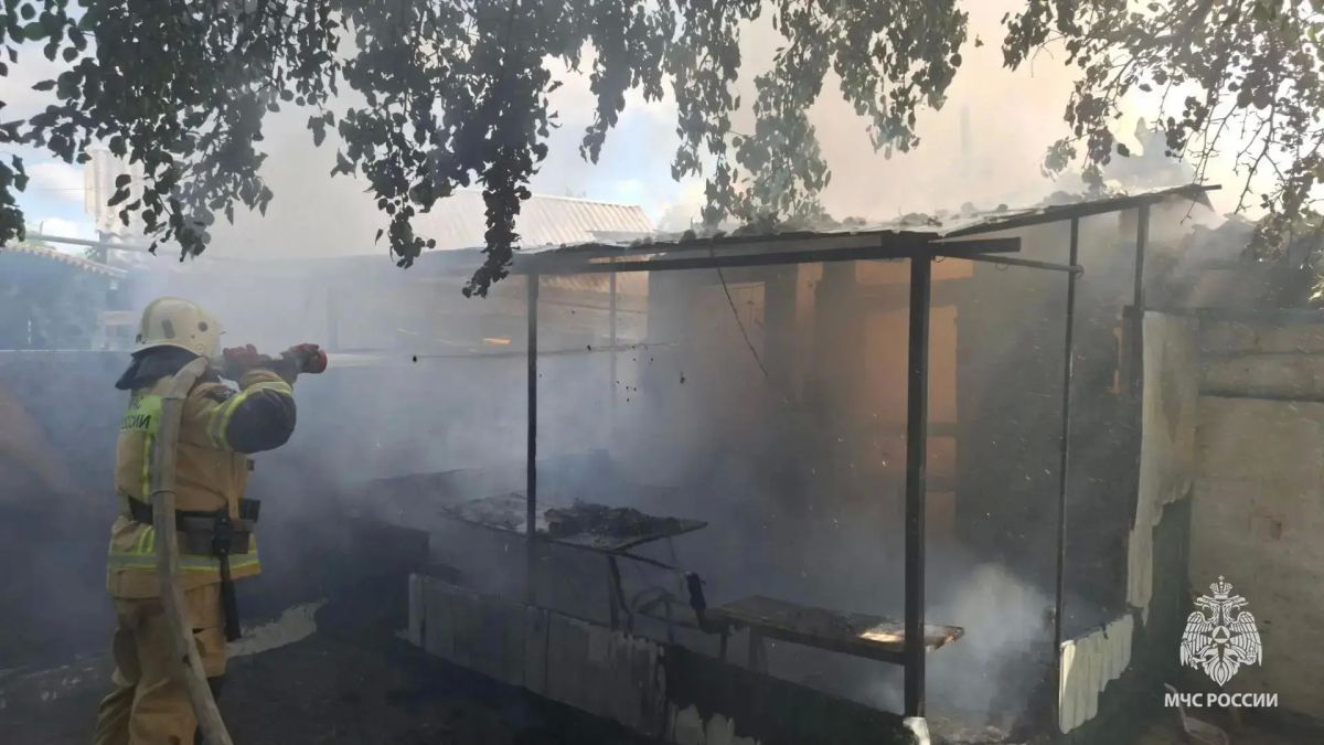 Спасатели остановили пожар у жилых домов в Луганске Спасатели остановили пожар у жилых домов в Луганске