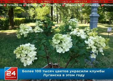 Более 100 тысяч цветов украсили клумбы Луганска в этом году