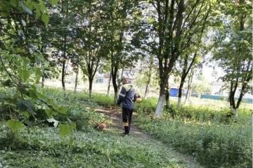 На территории посёлка Должанский инициативные жители наводят санитарный порядок