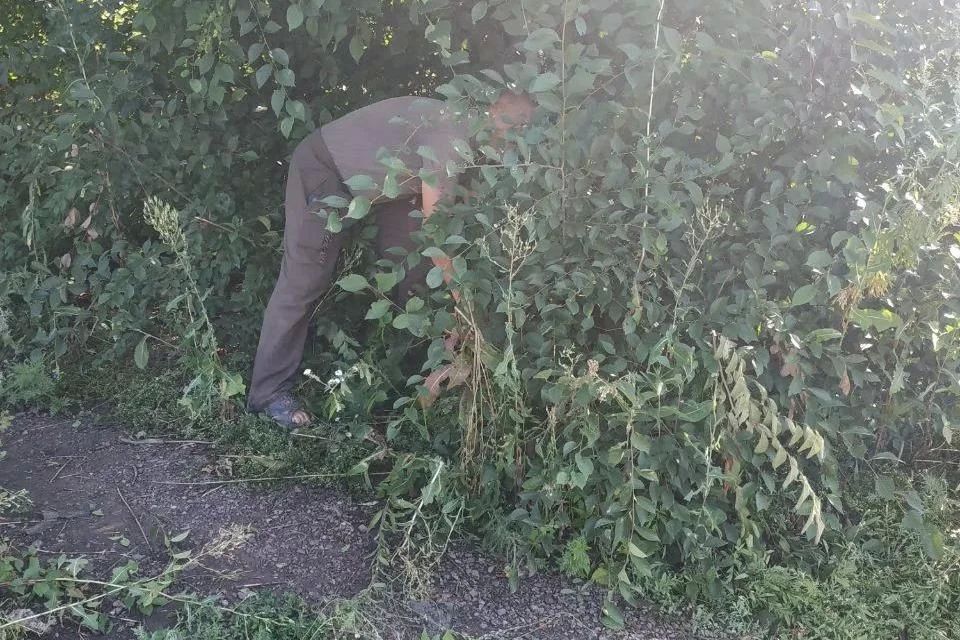 Коммунальщики Свердловского округа начали вырубку поросли и покос травы на опасных участках дорог Коммунальщики Свердловского округа начали вырубку поросли и покос травы на опасных участках дорог