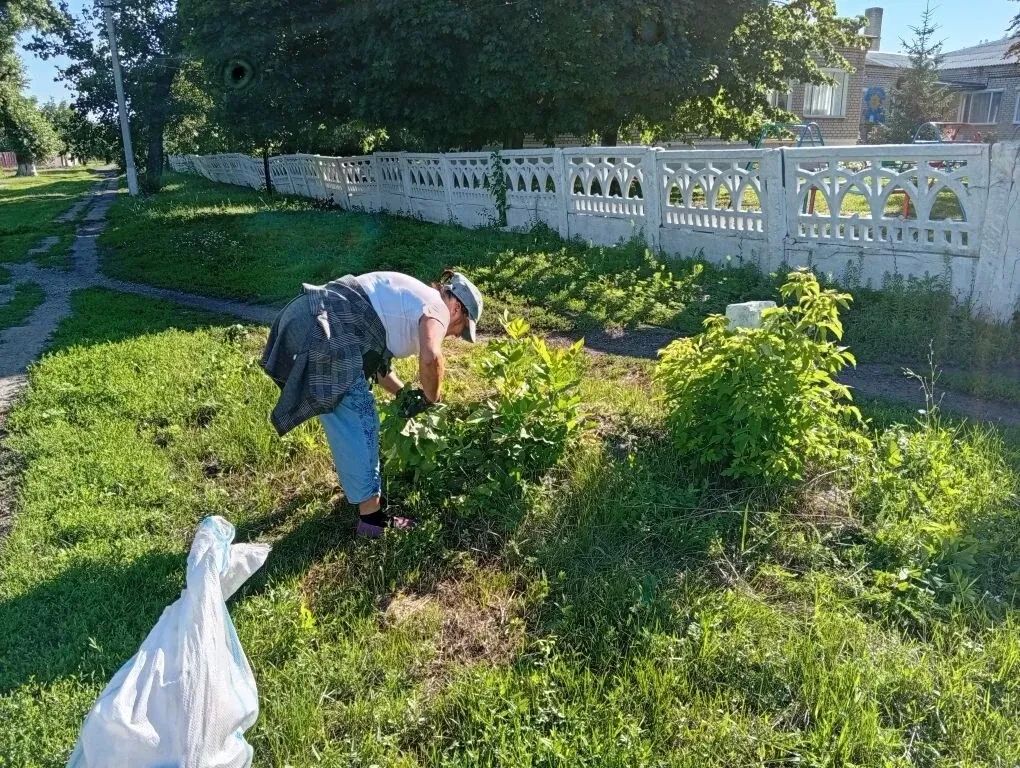 На территории пгт Новодарьевка продолжаются работы по благоустройству На территории пгт Новодарьевка продолжаются работы по благоустройству