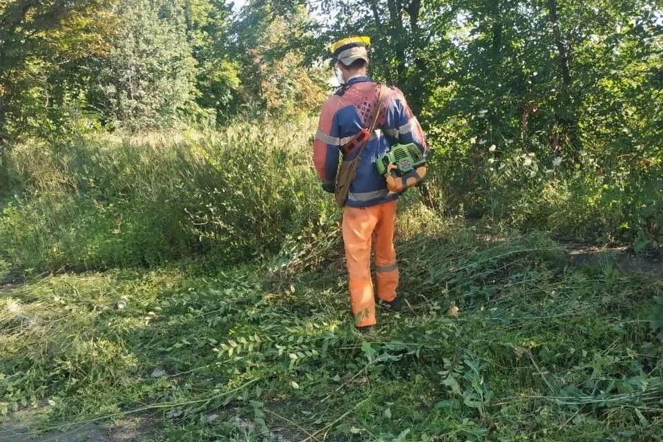 Коммунальщики Свердловского округа начали вырубку поросли и покос травы на опасных участках дорог Коммунальщики Свердловского округа начали вырубку поросли и покос травы на опасных участках дорог