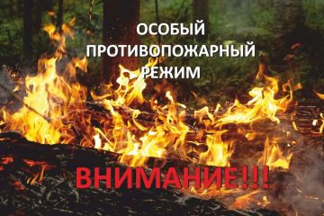 Напоминаем, что на территории ЛНР действует особый противопожарный режим, который ужесточает административную и уголовную ответственность для нарушителей