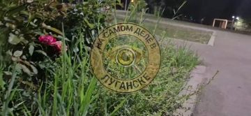В квартале Гаевого — новые скверы, площадки и отремонтированные дорожки: гулять стало приятно и удобно