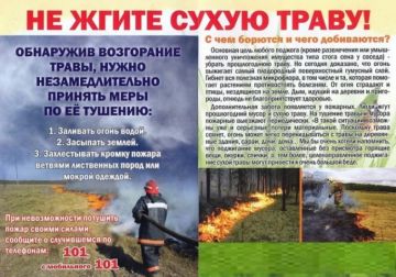 Человек главная угроза!. Пал сухой травы запрещен! Вот лишь некоторые аргументы против выжигания сухой травы: