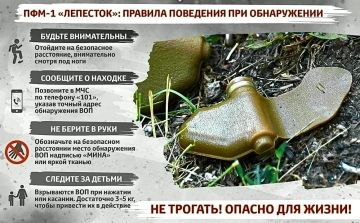 ВНИМАНИЕ: МИНА-ЛЕПЕСТОК. «Лепесток» (ПФМ-1) — одна из самых коварных противопехотных мин нажимного действия