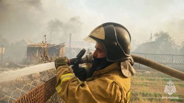 �� ����� � ��� ������������� 5 �������