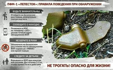 ВНИМАНИЕ: МИНА-ЛЕПЕСТОК. «Лепесток» (ПФМ-1) — одна из самых коварных противопехотных мин нажимного действия