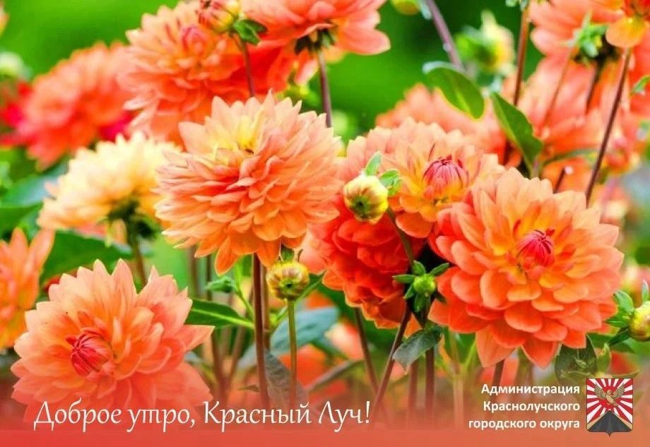 Доброе утро, краснолучане и гости города!