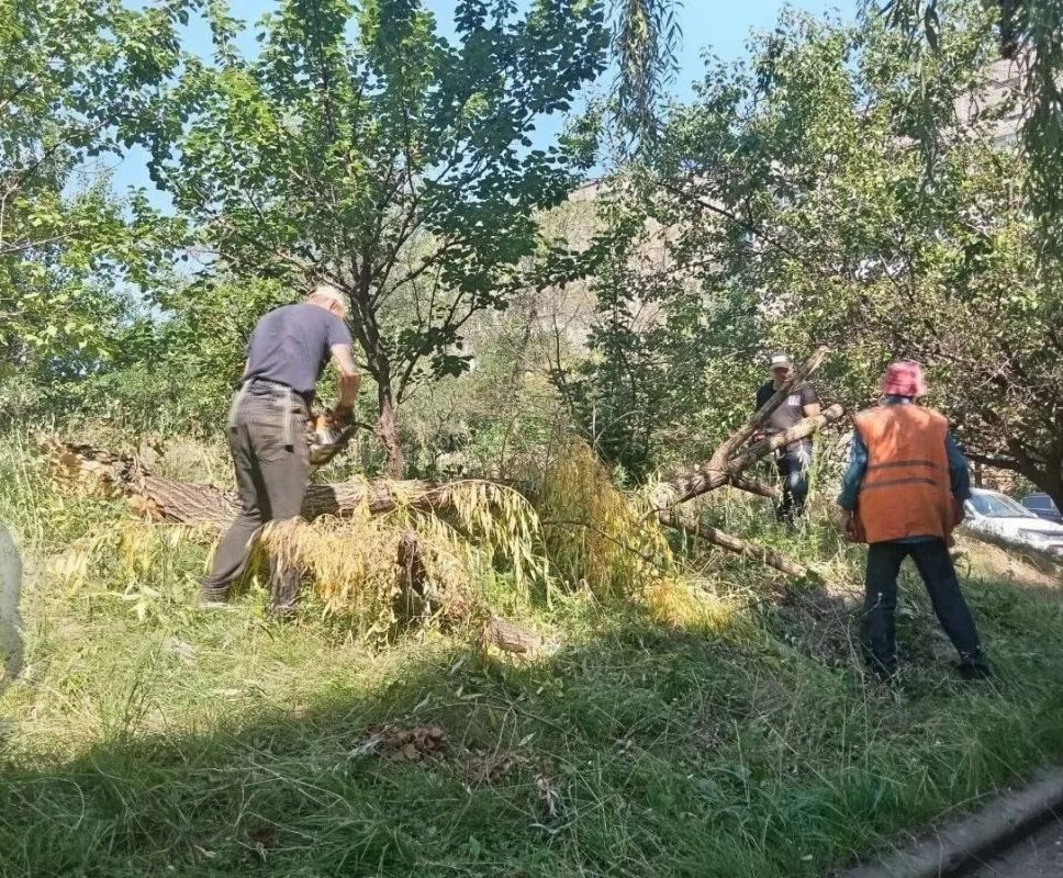 Коммунальными службами проведены работы на территории города Коммунальными службами проведены работы на территории города
