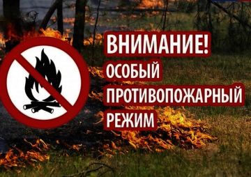 ОТДЕЛ ГО И ЧС ИНФОРМИРУЕТ. На территории Краснолучского муниципального округа действует особый противопожарный режим