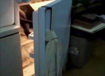 ��������� �� ����:. �����������: ������ +25�C, ���� � +33�C