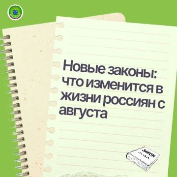 Новые законы: что изменится в жизни россиян с августа