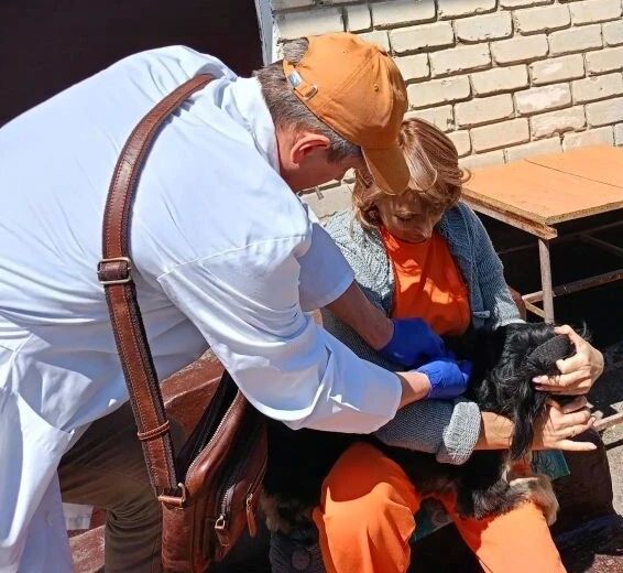 Вниманию владельцев домашних животных! Вниманию владельцев домашних животных!
