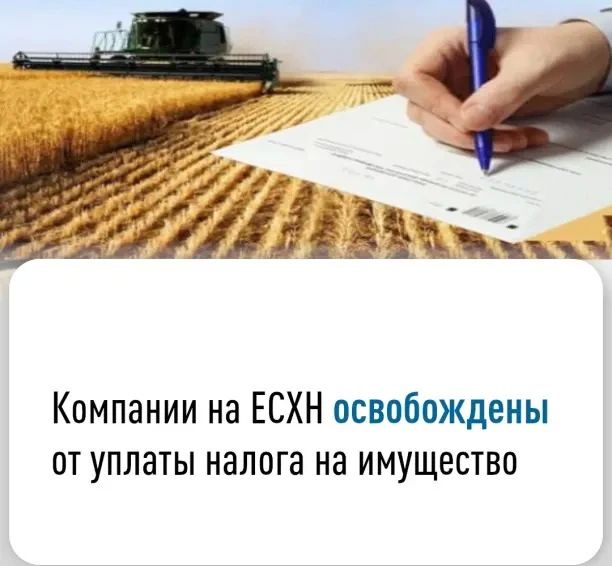 Специалисты Межрайонной инспекции Федеральной налоговый службы России по Луганской Народной Республике №10 информируют о имущественном налоге для ЕСХН