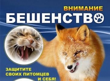 Внимание! Угроза бешенства домашних животных в Новопсковском муниципальном округе!