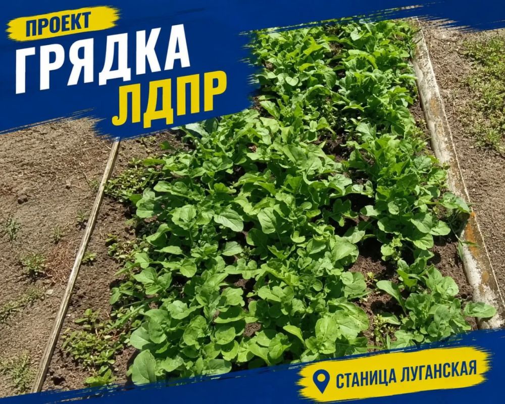 Из маленького семечка вырастает большой результат Из маленького семечка вырастает большой результат
