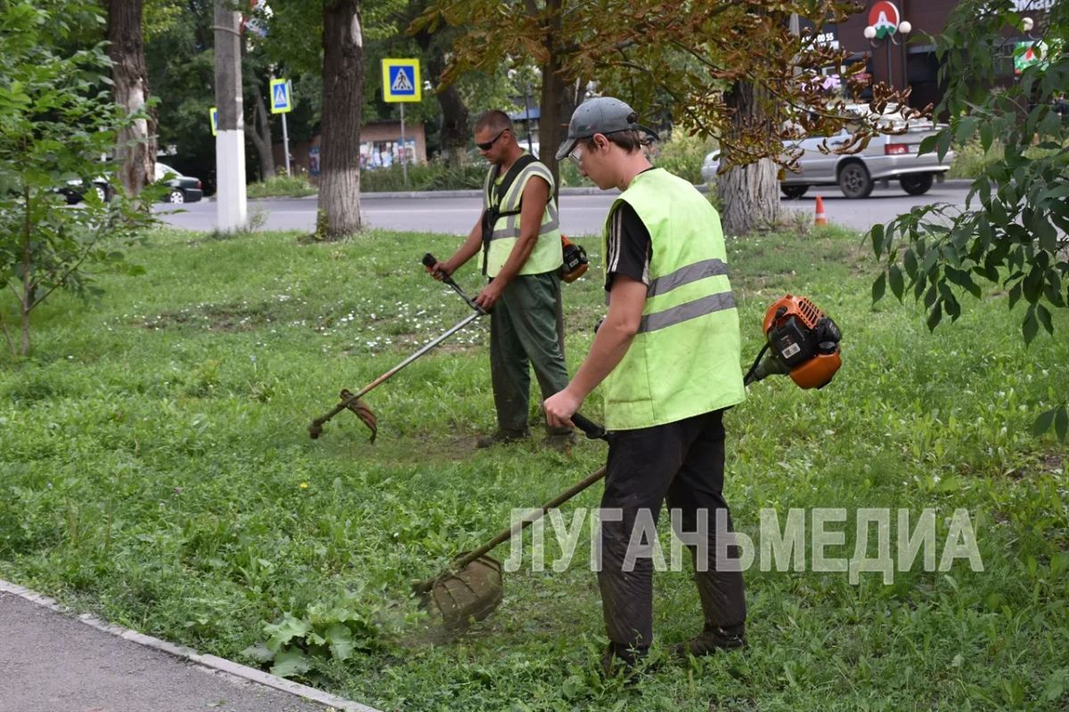 Специалисты Антрацитовского зеленого хозяйства выполняют покос травы Специалисты Антрацитовского зеленого хозяйства выполняют покос травы