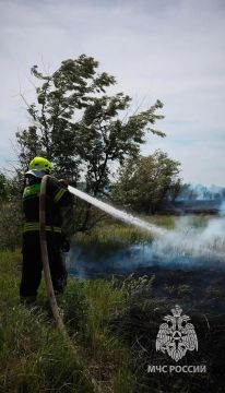 Жаркая погода усиливает риск ландшафтных пожаров: МЧС призывает к осторожности