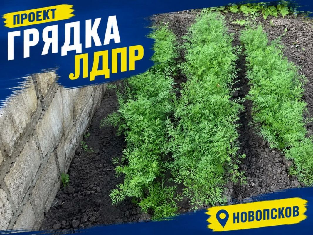 Из маленького семечка вырастает большой результат Из маленького семечка вырастает большой результат