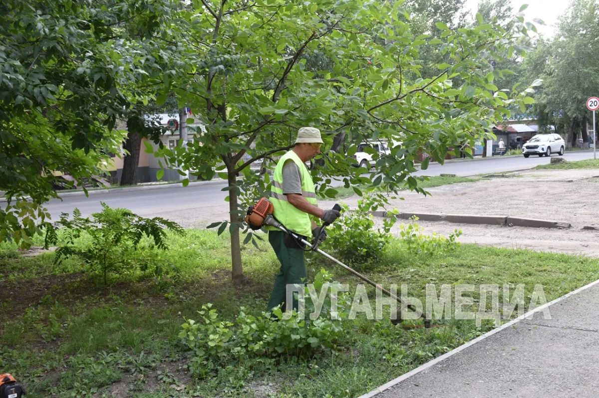 Специалисты Антрацитовского зеленого хозяйства выполняют покос травы Специалисты Антрацитовского зеленого хозяйства выполняют покос травы