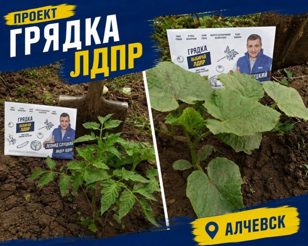 Из маленького семечка вырастает большой результат Из маленького семечка вырастает большой результат