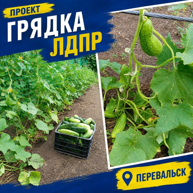 Из маленького семечка вырастает большой результат
