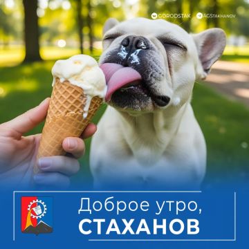 ������ ����,������ �����!. ��������� ������� +31�C � ����