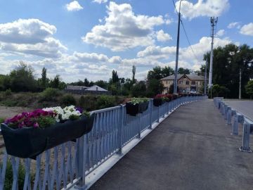 Еще один мост Луганска украсили подвесные кашпо с петуньями
