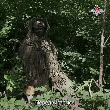Лучший друг штурмовика. Баста собака одного из бойцов группировки «Центр»