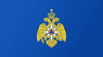 Сотрудники МЧС России на СВО наделены статусом ветеранов боевых действий