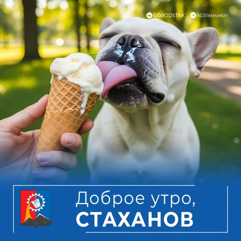 Доброе утро,родной город!. Синоптики обещают +31°C в тени
