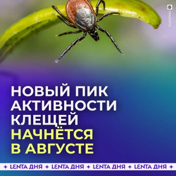 Россиян предупредили о новом пике активности клещей