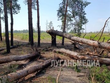 В большинстве населенных пунктов Станично-Луганского округа вследствие урагана со вчерашнего вечера отсутствует свет