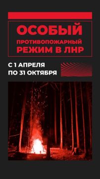 С 1 апреля в ЛНР введен особый противопожарный режим