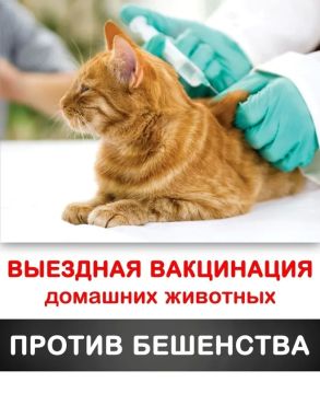������ ���������� ��������� ������� ��� ���������������� ���������� ������ ���������, ������������� �������� �� ���������� �.�. �������������