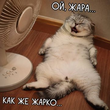 ������ � �������� ��������� �� +42 �������� ����