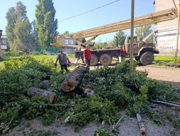 Администрация продолжает работу с обращениями граждан по вопросу спила и обрезке деревьев