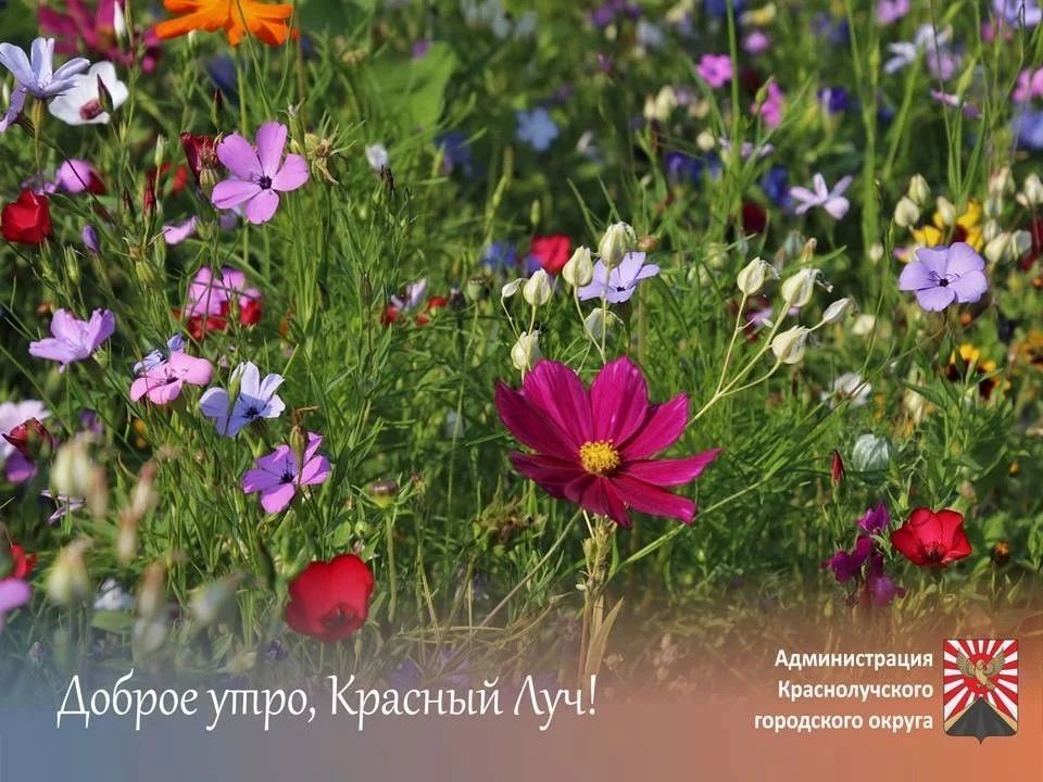 Доброе утро, краснолучане и гости города!