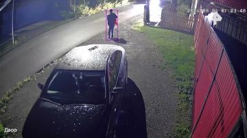 "Падла ты": в свердловском Ивделе мужчина обматерил маму-медведицу с тремя детёнышами