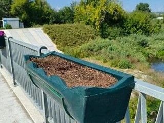 Хулиганы уничтожили петуньи в кашпо на Нижнетагильском мосту Хулиганы уничтожили петуньи в кашпо на Нижнетагильском мосту