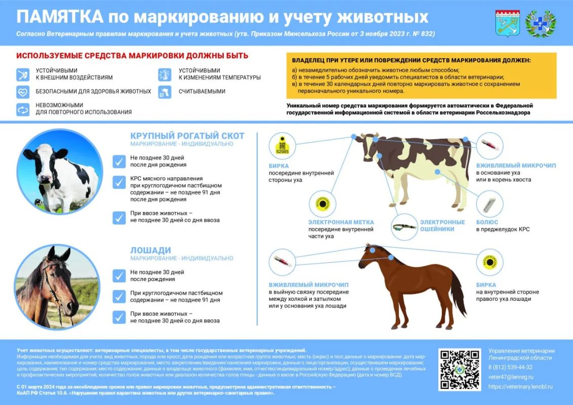 ГБУ ЛНР "СББЖ Белокуракинского района" информирует/Памятки о маркировании животных ГБУ ЛНР "СББЖ Белокуракинского района" информирует/Памятки о маркировании животных